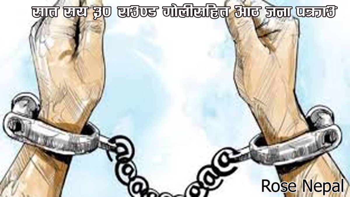 सात सय ३० राउण्ड गोलीसहित आठ जना पक्राउ
