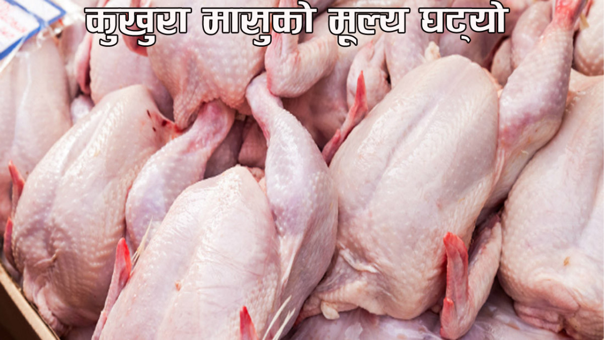 कुखुरा मासुको मूल्य घट्यो