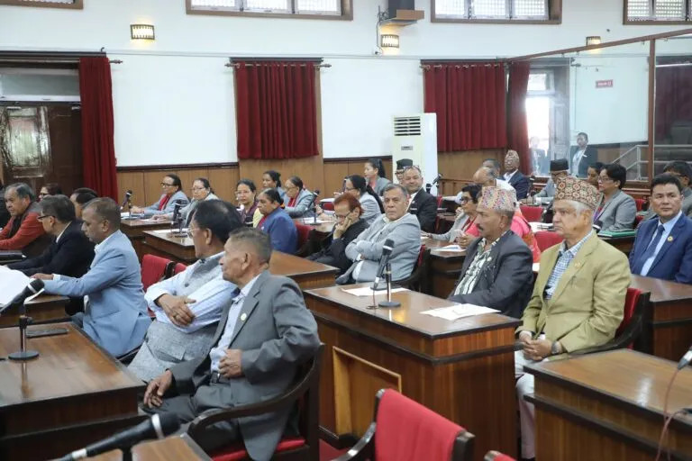 प्रतिनिधिसभा निर्वाचनसम्बन्धी विधेयक राष्ट्रिय सभाबाट पारित