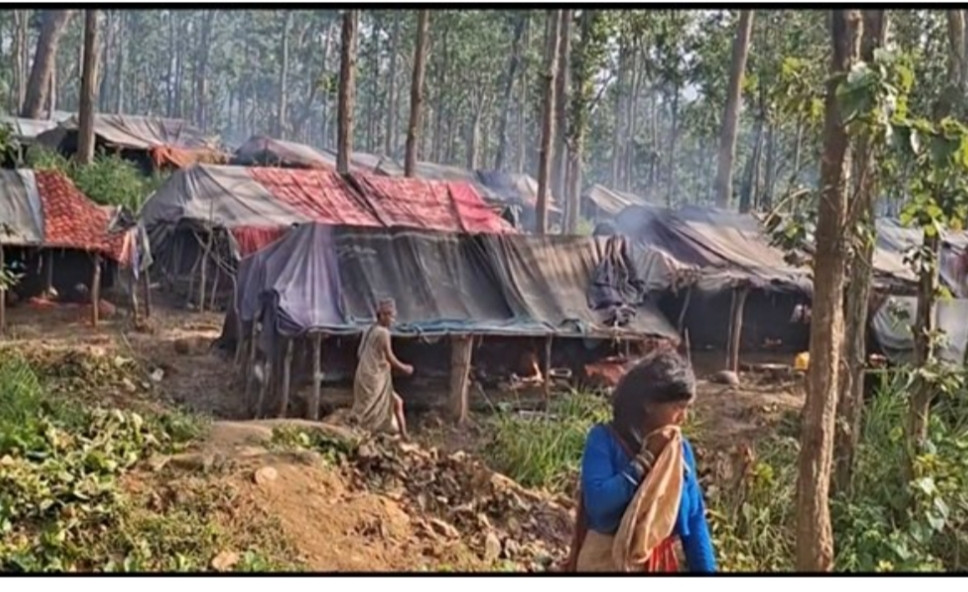 राउटे संरक्षणका लागि कर्णालीको नयाँ कदम, शिक्षा–नागरिकतादेखि संस्कृति जोगाउने योजना