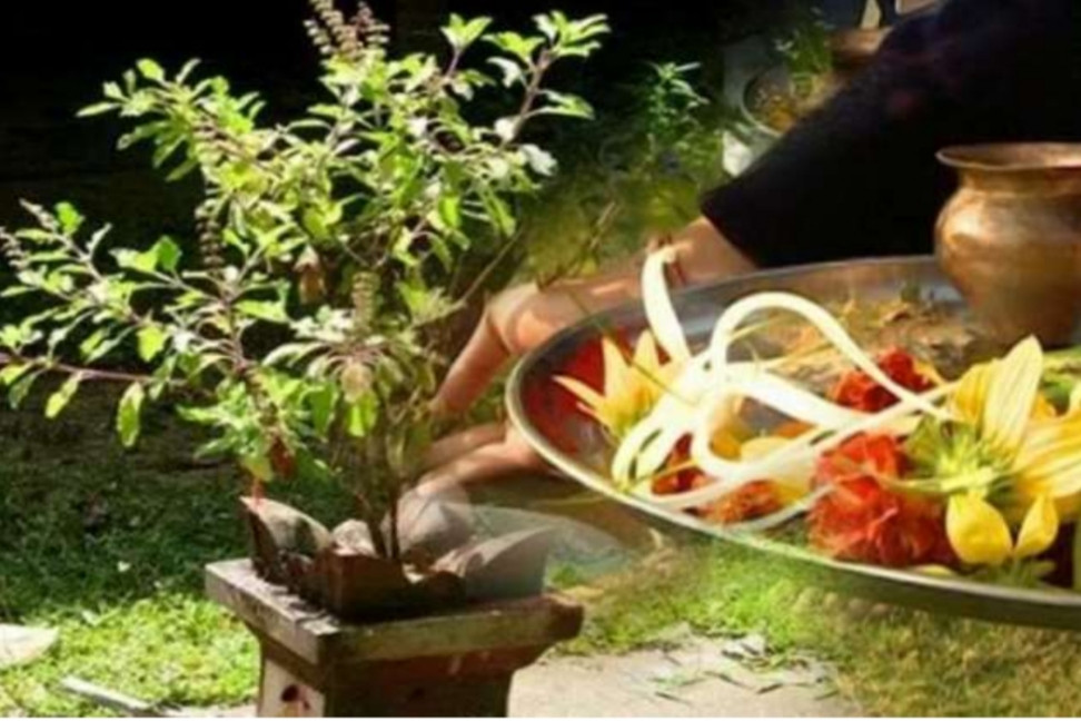 निर्जला एकादशी आज : तुलसी दल राख्दै धार्मिक आस्था र परम्परा संरक्षण